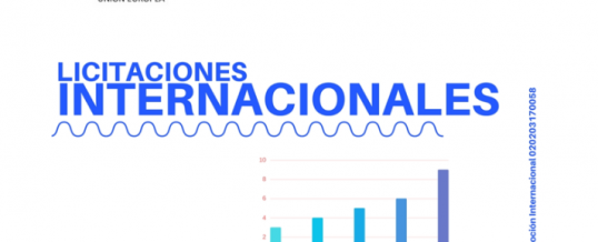 Elaboración y preparación de Licitaciones Internacionales en Latinoamérica